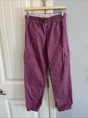 Levis Cargo Jogger Pants in Plum 16